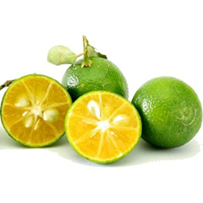 Small Lime   Limau Kasturi 500g