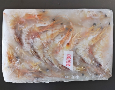 FRESCO Sea White Prawn (HOSO) - 700g per packet [SOLD PER PACKET]