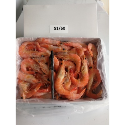 Cooked Prawn 51/60     12X1kg (12 Packets Per Carton)