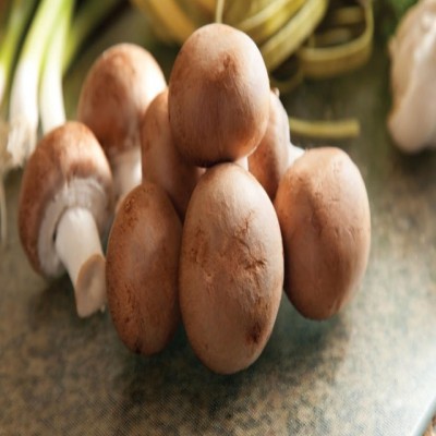 Bug's Paradise Farm-Swiss Brown Mushroom (150g)