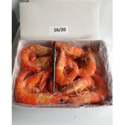 Cooked Prawn 16/20   12 X 1KG (12 Packets Per Carton)