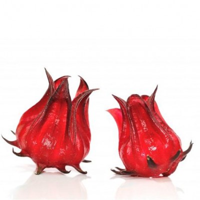 ORGANIC ROSELLE CALYCES FRESH