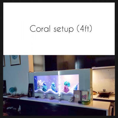 4FT Crystal White Series - Wall Mounted Aquarium