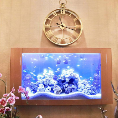 6FT Premium Royal GOLD Series - Wall Mounted Aquarium