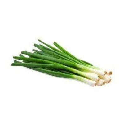 Leek 1stick