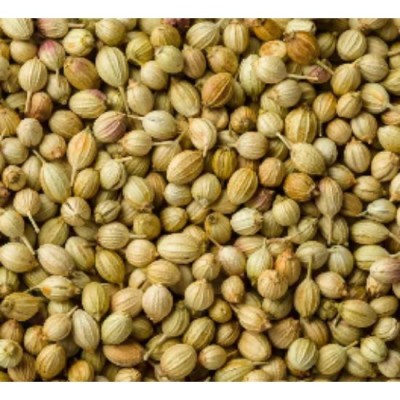 Coriander Seed Biji Ketumbar 20g
