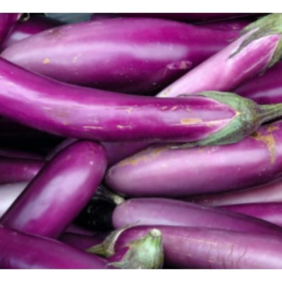 Eggplant   Terung M 500g