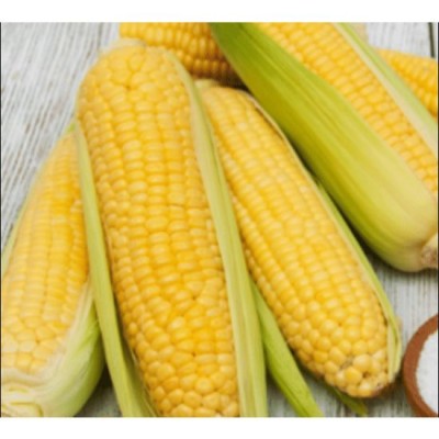 Jagung Ipoh Sweet Corn (Pack of 4)