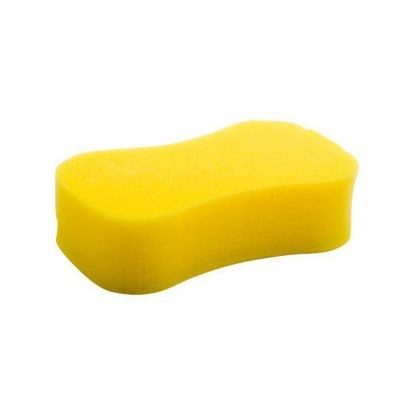 Yellow Sponge