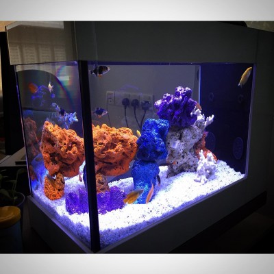 SEAZONE - 2.5FT DIY Smart Series