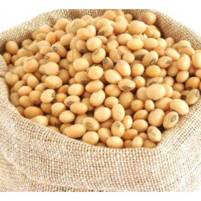 Soya Bean Kacang Soya 300g