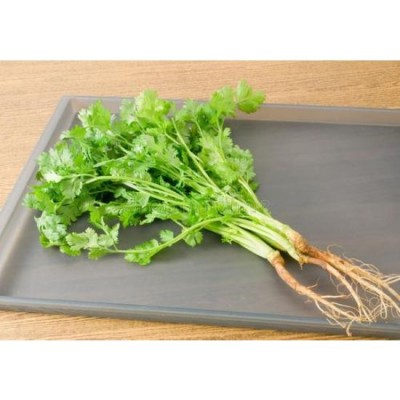 Coriander   Daun Ketumbar (1bunch)