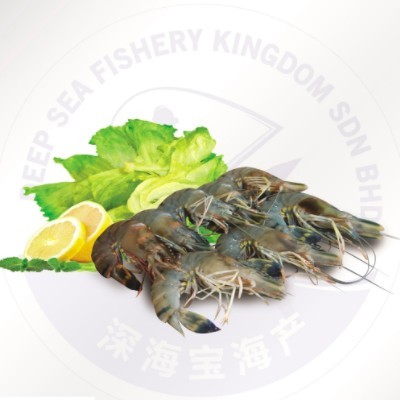 Black Tiger Prawn HOSO 21 25 (10 Units Per Carton)