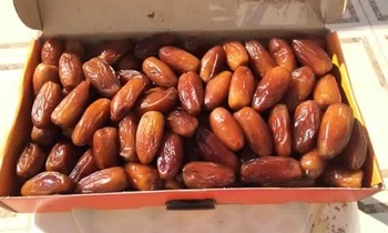Tunisian Deglet Noor Dates 2kg