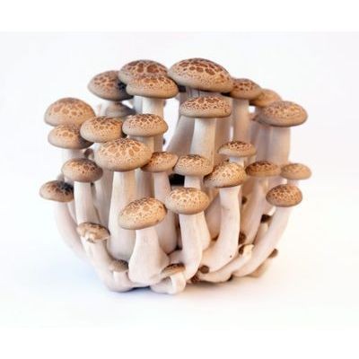 Shimeji Mushroom 150g pack (sold by pack)