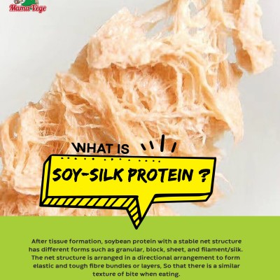 [PRE-ORDER ONLY] MAMAVEGE Vegetarian Dried Squid Shreds (40 Pack Carton)