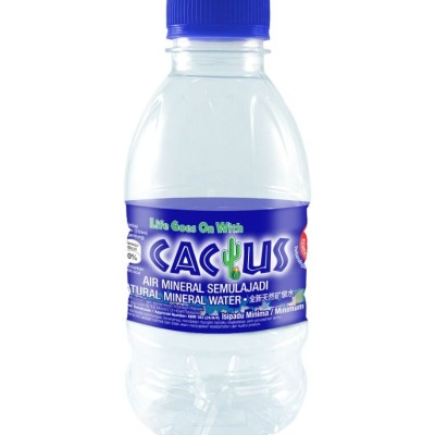 Desa Mineral Water 250ml (48 bottles)