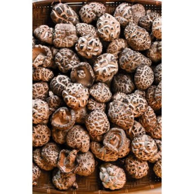 Premium Dried Mushroom 120g