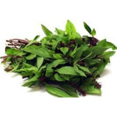 Basil Leaves, Daun Selasih (sold per kg)