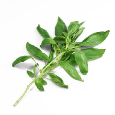 Sweet Basil 100g