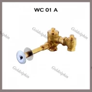 Concealed Thru Wall WC Flush Valve