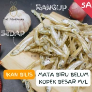 [Borong Wholesale] Ikan Bilis Mata Biru Belum Kopek 5A Size M ( 10KG ) - The Fisherman