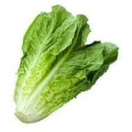 Romaine 1kg