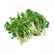 Bug's Paradise Farm-Organic Pea Sprout (100g)