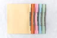 Assorted Colours Lion File Economical (300gsm) Spring Mech. Manila Files. (150 Units Per Carton)