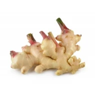 Young Ginger   Halia 500g