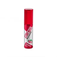 Stay Cool Breath Freshener s Oral Hygiene Mouth Pump Spray Can - STRAWBERRY (10 Units Per Outer)