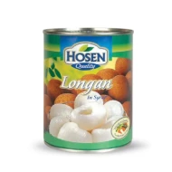 HOSEN LONGAN IN SYRUP 565G