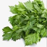 Celery Leaves - Daun Sup (1 Bunch)