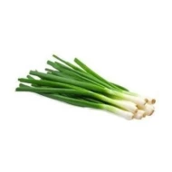 Leek 1stick