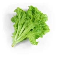 Lollo Bionda Lettuce (250g)