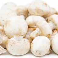 White Button Mushroom