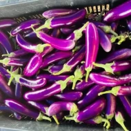 Mini Eggplant   Terung Mini (per kg)