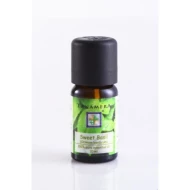 Essential oil Sweet Basil