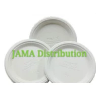 Biodegradable and Compostable 9' Plate (800 Units Per Carton)