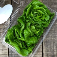 Agroz Green Butterhead (120g)