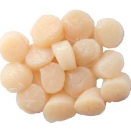 Bay Scallop Meat 1kg