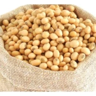 Soya Bean Kacang Soya 300g