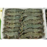 Tiger Prawns 1kg (21 30) (Frozen)