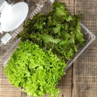 Agroz Green & Red Corals Mixed 120g