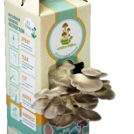 (ORGANIC - Moku-Moku DIY Mushroom Box) Grey Oyster Mushroom (Ready To Plant - Marketplace Harian)(5 Box Per Outer)