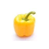 Capsicum Yellow 1pcs