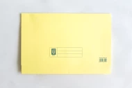 Yellow Colour Lion File Pocket File (144 Units Per Carton)