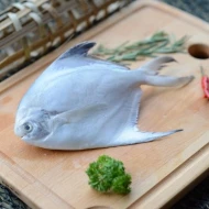 White Pomfret Fish (300g-400g)