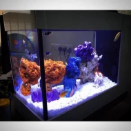 SEAZONE - 2FT DIY Smart Series