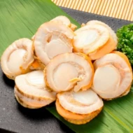 Frozen Scallop 500g